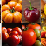 8 Gorgeous Heirloom Tomato Recipes to Impress