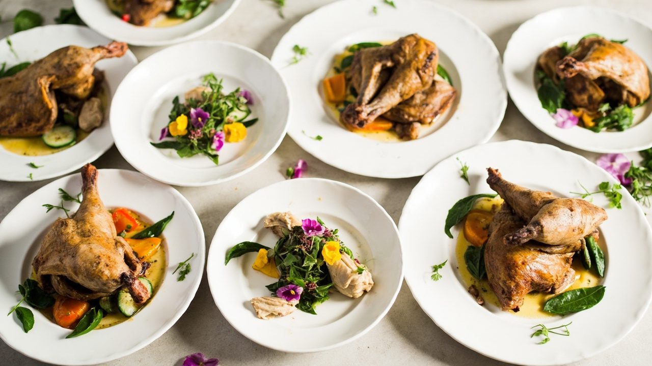 Top 7 Easy & Elegant Dove Recipes You’ll Love